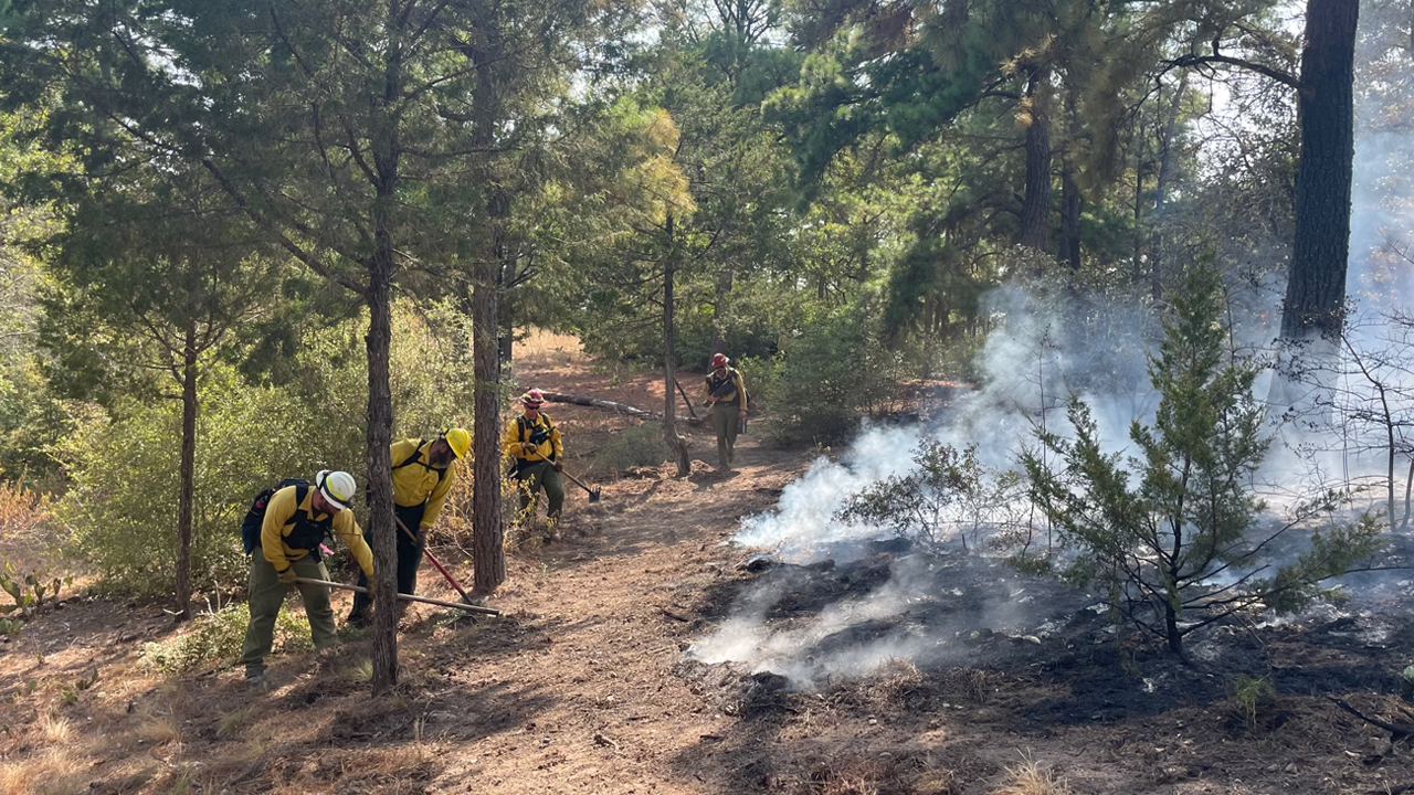 Photo credit: Texas A&M Wildfire Response Team